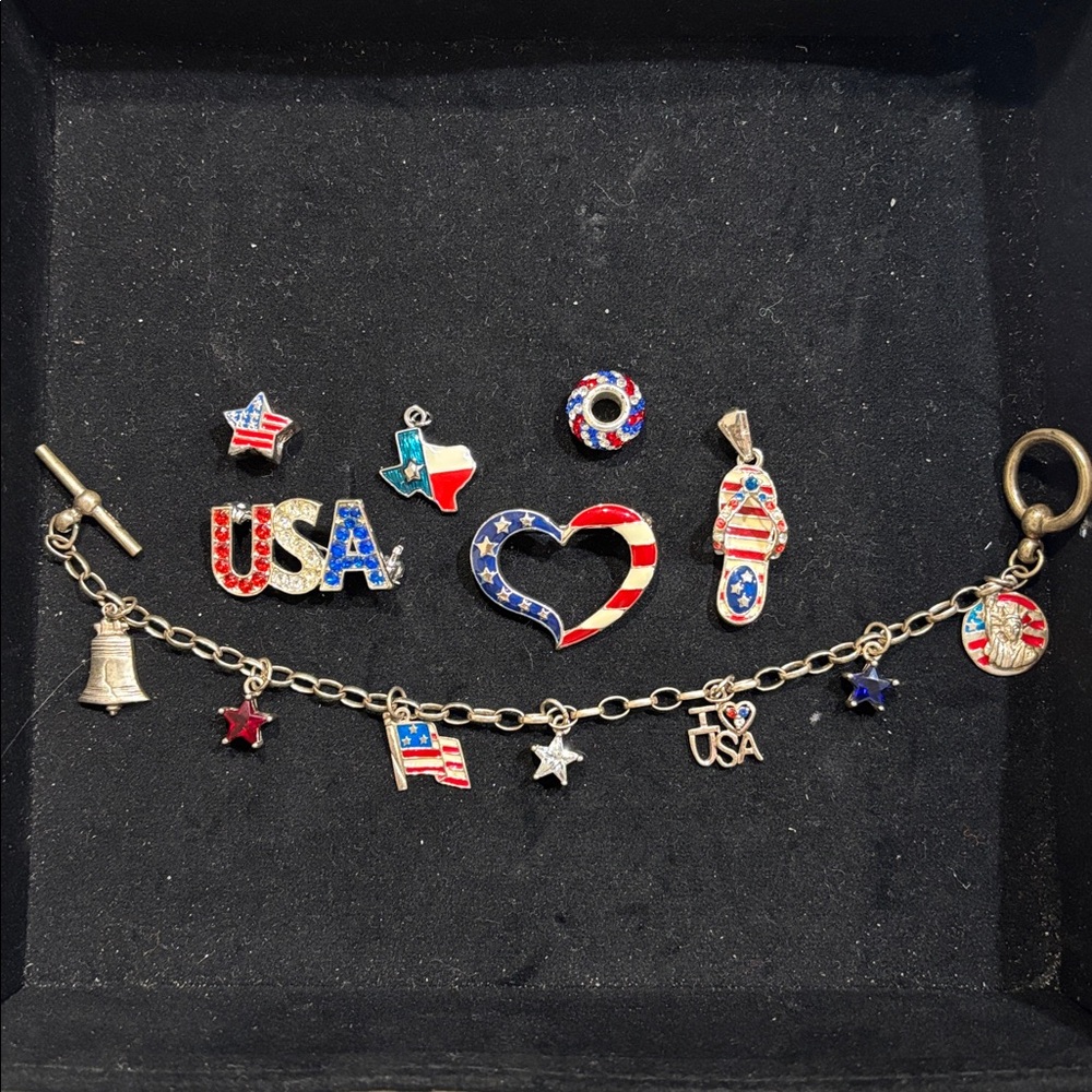 Patriotic Charm Bracelet and Pins Set